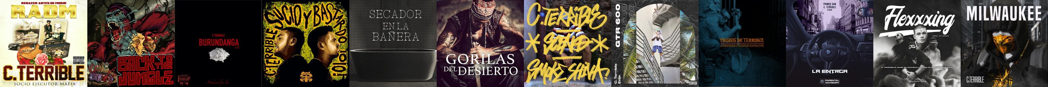 C.Terrible Store: Official Merch & Vinyl